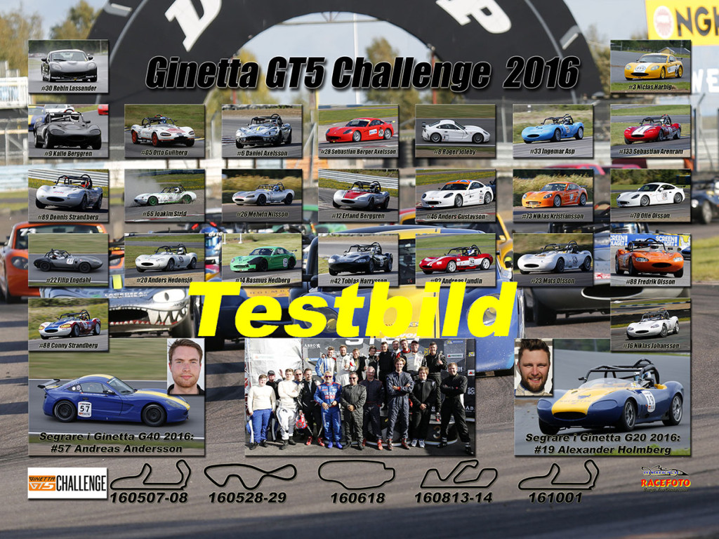 ginettat16