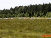 Sportvagnsfestivalen i Anderstorp