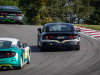 Newsrace Ring Knutstorp
