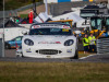 Newsrace Ring Knutstorp