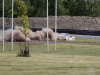 Raceweek på Kinnekulle Ring med SSK.